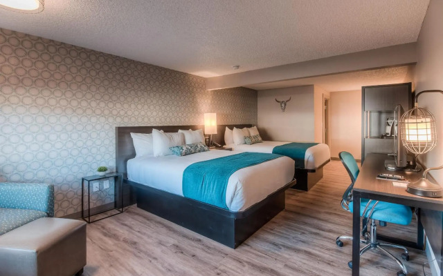 The Hotel Y