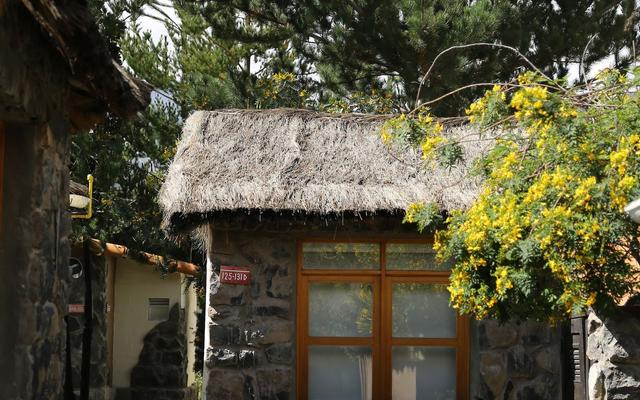 Casa Andina Standard Colca