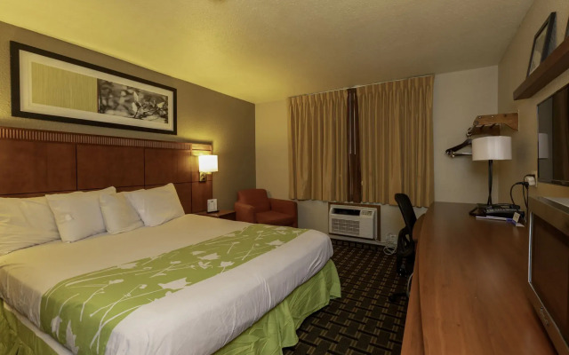 Rodeway Inn Florence - Cincinnati South