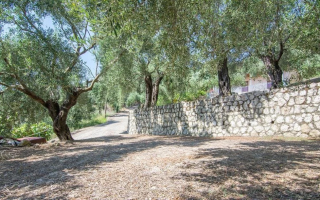 Spiti Kritikos