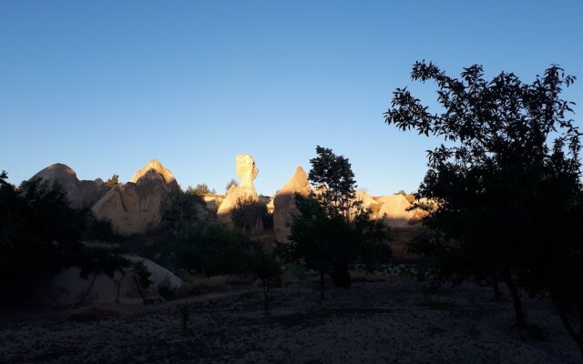 Di̇ri̇li̇ş Banarya Pansi̇yon