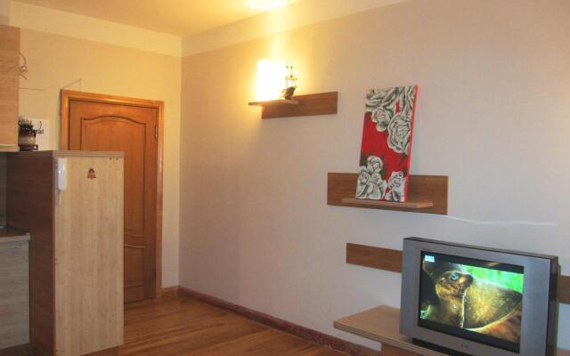 Apartment on Brivibas Street
