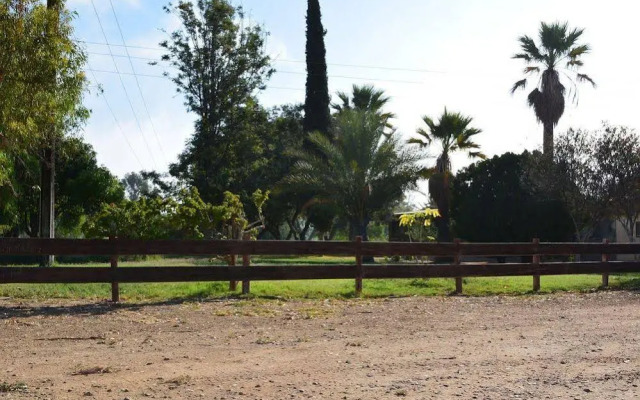 Rancho Toros Pintos