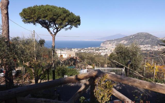 Appartamento Villa degli Ulivi
