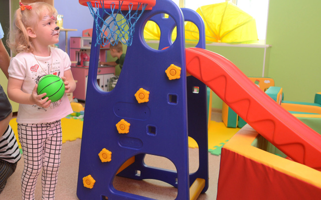 Кедровый бор