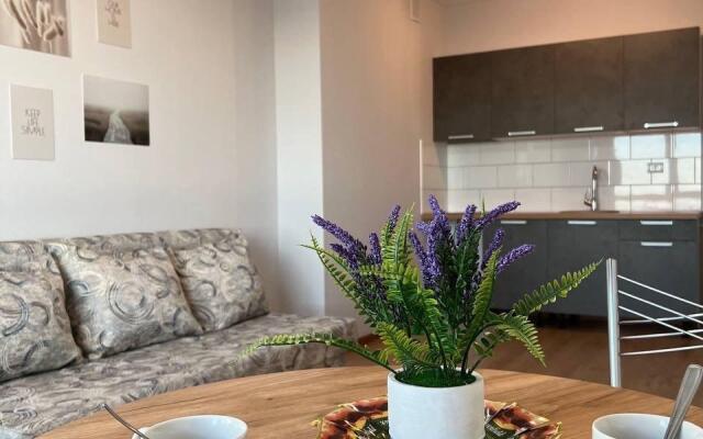 Квартира 1 на улице Институтская