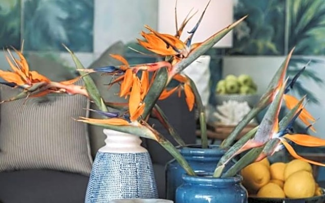 The Edge Boutique Bed and Breakfast