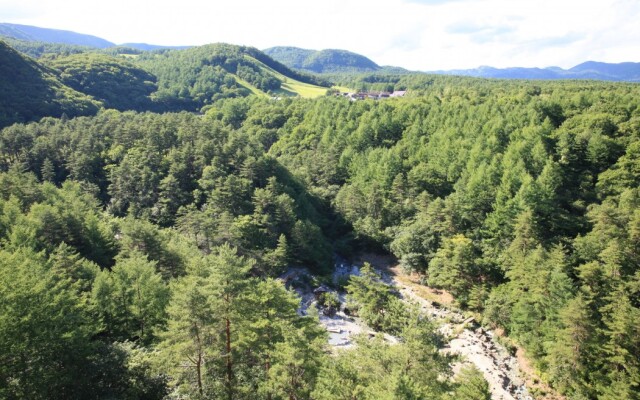 Economy Backpackers Hotel New Koyo