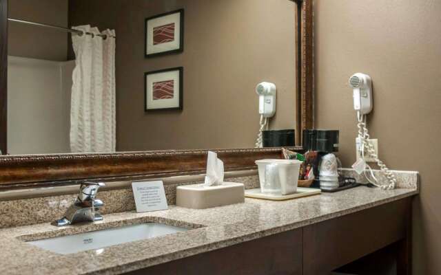 Quality Inn & Suites near St. Louis and I-255