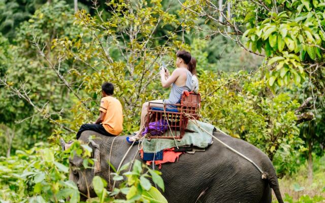 Ingthara Resort