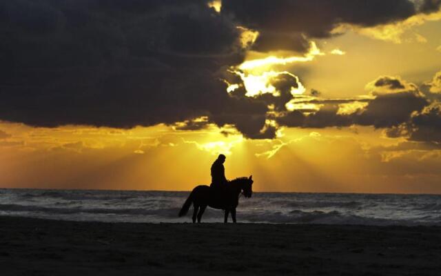 Cozy apt 10 mins walk from Poetto + terrace