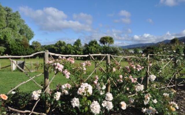 Jacaranda Lodge
