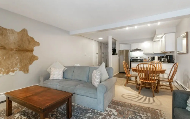 Snowlion Condos 208 2 Bedroom Condo