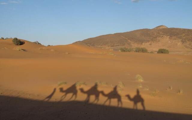 Khamlia Desert Bed & Breakfast