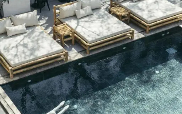 Primus Nefes Adults Only