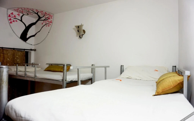 AAO Hostels