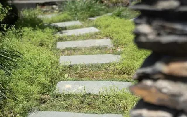 Longji Terraced Field Yunduan Scenic Homestay (Ancient Zhuang Village)