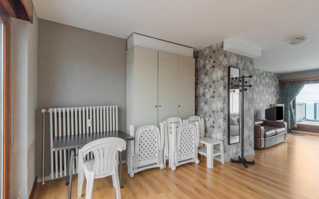 Sea-view apartment in Blankenberge with balcony