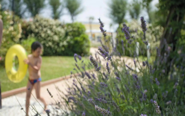 Hotel Bellevue Beach