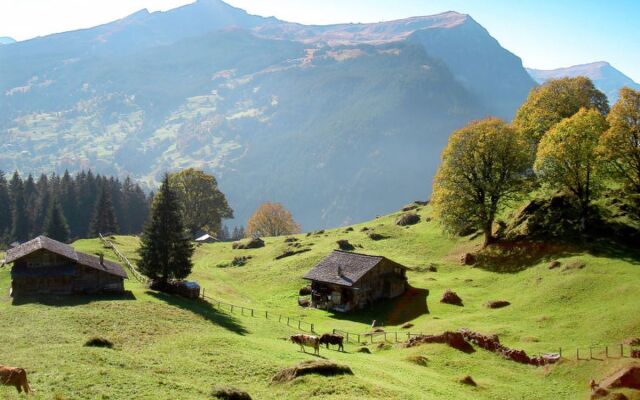 Chalet Abendrot 41362