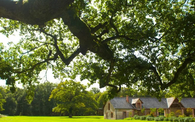 Ecolodges De Loire
