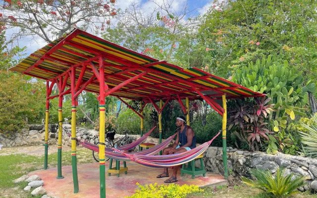 Judy House - Lewi's Backpacker Hostel