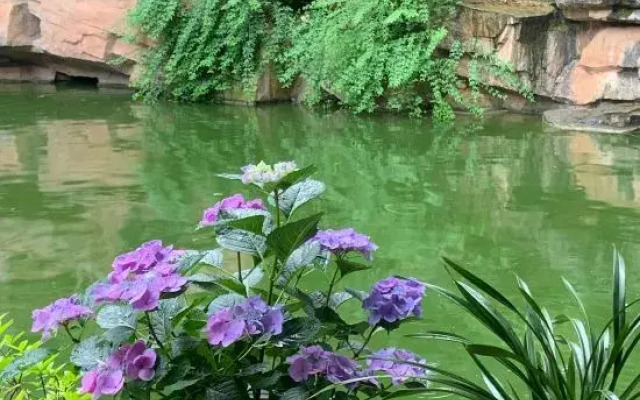 Wuyi Yangchun Shanju Guesthouse