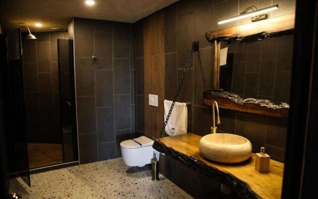 Mavi At Hotel Blue Horse