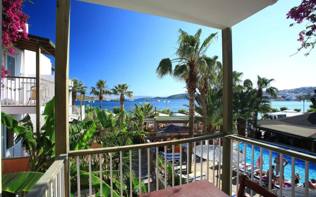 Отель Parkım Ayaz