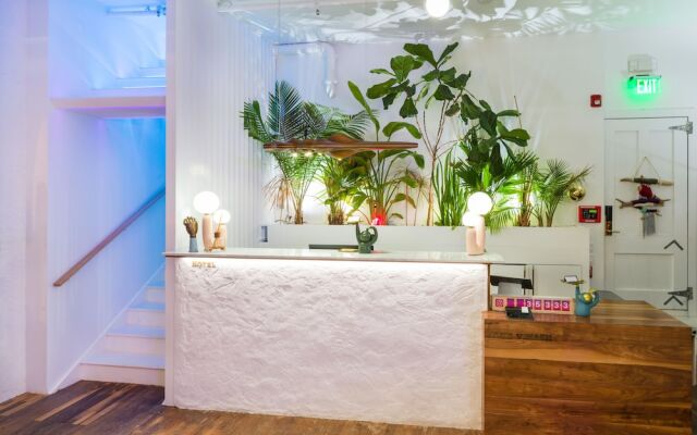 American Beech Hotel