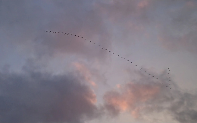 Norfolk Accommodation - mYminiBreak