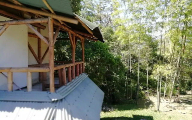 Finca Ecolodges El Ocelote