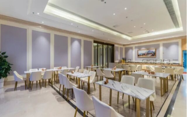 Vienna Hotel (Lingao Store)