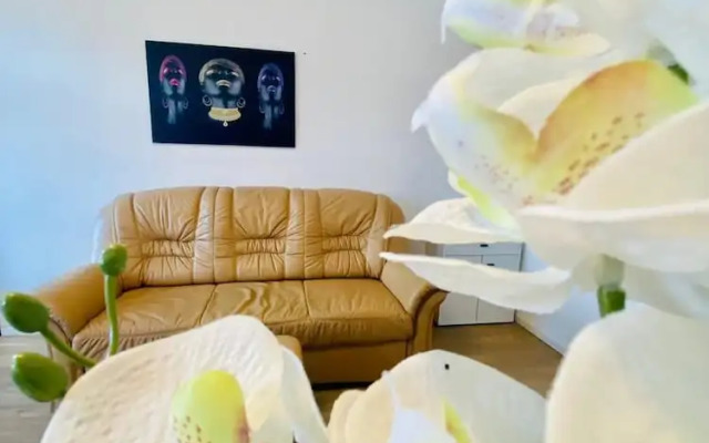 Spacious 4BR for 15 & 15 Min to Danube