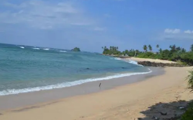Chandima Beach Waver