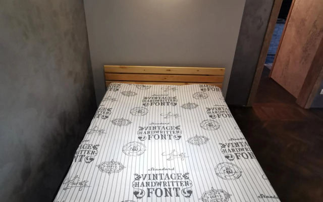 Loft style apartments in the center