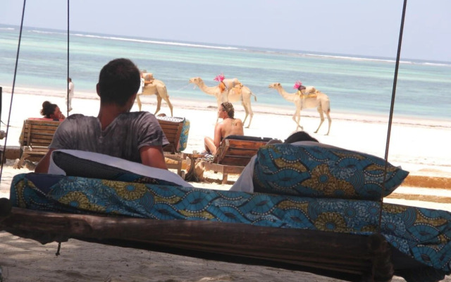 Bidi Badu Zanzibar Village - Hostel