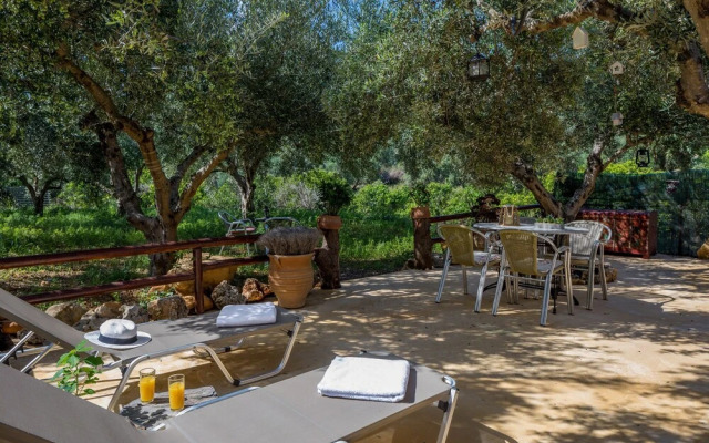 The Olive House