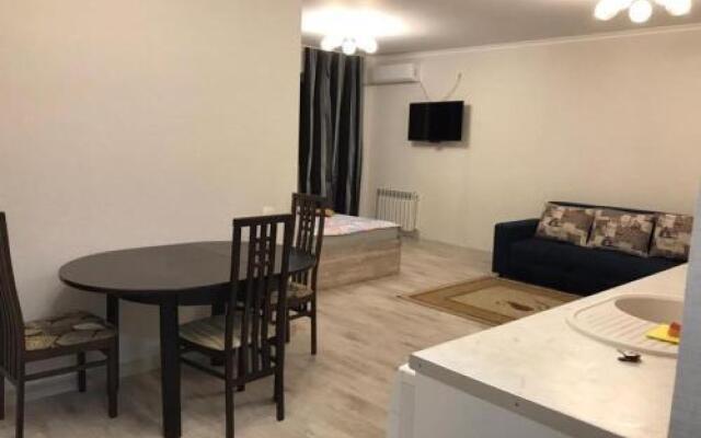 Flat 1 bedroom 1 bathroom - Almaty