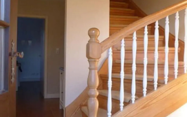 Holiday Home Gray Seal