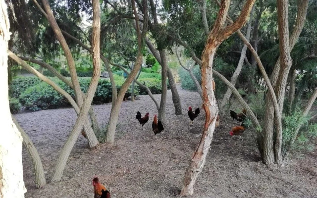 Benalmadena Studios Vacation Rentals