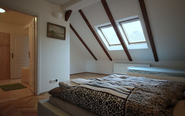 Generous Attic Apartment