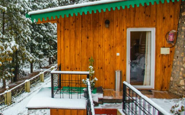 The Himalayan Living Whistling Pines