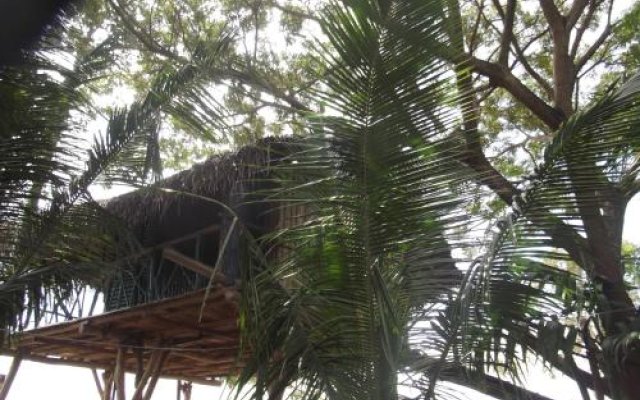 Kumbuk Tree House