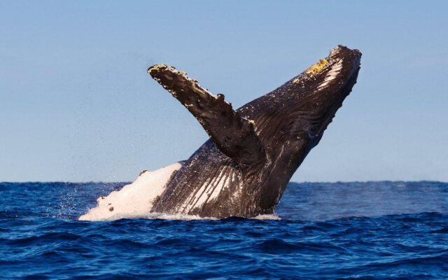 Holiday Inn Express Hotel & Suites Carlsbad Beach by IHG