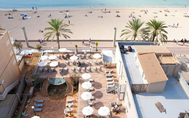 FERGUS Style Palma Beach