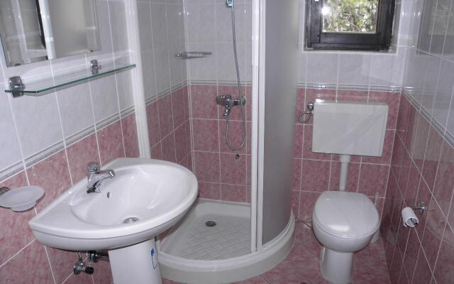 Apartment Mirja - 50 m from beach: A1 Petrcane, Zadar riviera