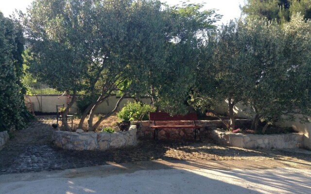 Apartments Ivana Murter