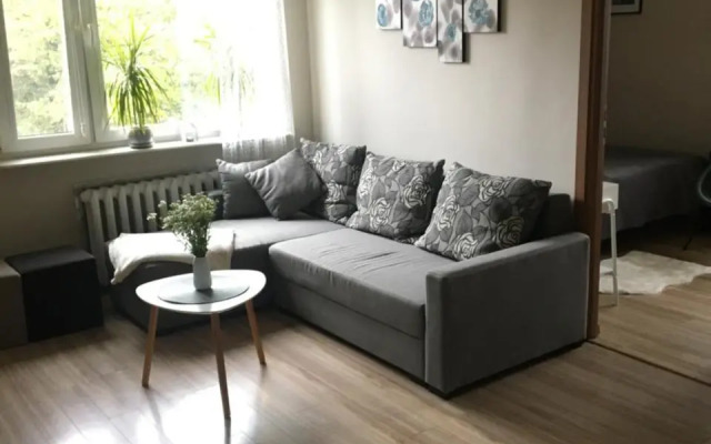 Apartament Saski