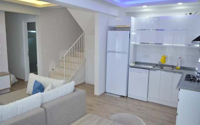 New Age Villa Lilya Hisar